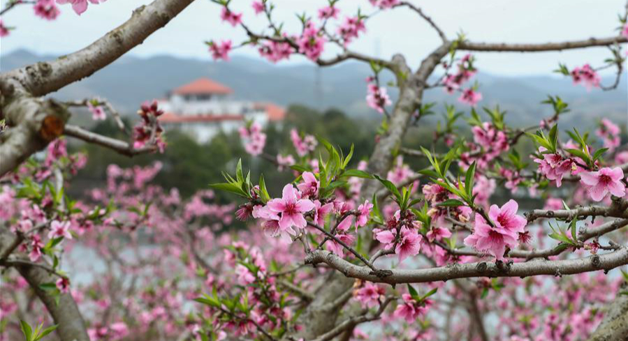 ��ͨ��W(w��ng)�j(lu��)��(qi��ng)��(gu��)�������Ϸ�(w��n)��ǰ�M(j��n)